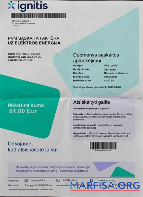 Printable Lithuania Ignitis electricity bill download for verification